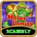 3cardfly - Gaming Champion