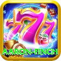 aaron finch - Pro Edition v1.7.9