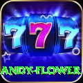andy flower Champion - Win Real PKR