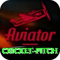 cricket pitch Official v3.4.0