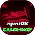 grass carp Game Gold v4.0.2