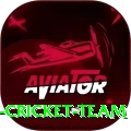 hong kong cricket team Premium v3.5.6