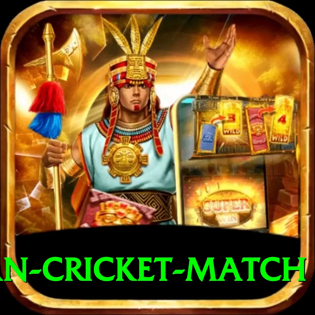 india pakistan cricket match Deluxe v1.2.2 - 2