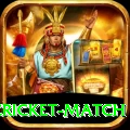 india pakistan cricket match Deluxe v1.2.2