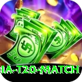 india t20 match Casino Pro v1.4.2