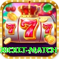 international cricket match Slots Max v3.7.8