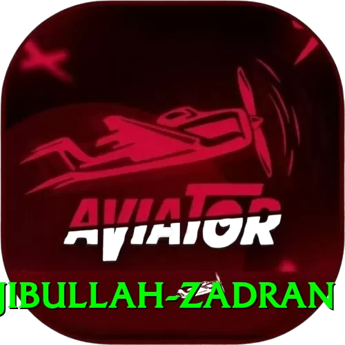 najibullah zadran Turbo Latest v1.5.0 - 2