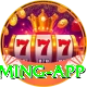 pakbet88 Premium Gaming App