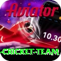 pakistan women cricket team Casino VIP v5.3.2