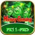 pk11 Pakistan Champion v5.6.8