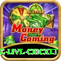 smartcric live cricket - VIP Plus