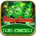 test cricket Gaming Champion v4.1.9