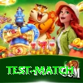 test match - Gaming King