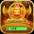 tiger888 Cash Plus
