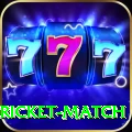 to day cricket match Gaming Champion