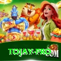 tojay Bonus Super v4.2.7