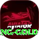 Vxv Bet - Gaming Gold