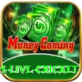 watch live cricket PK Pro
